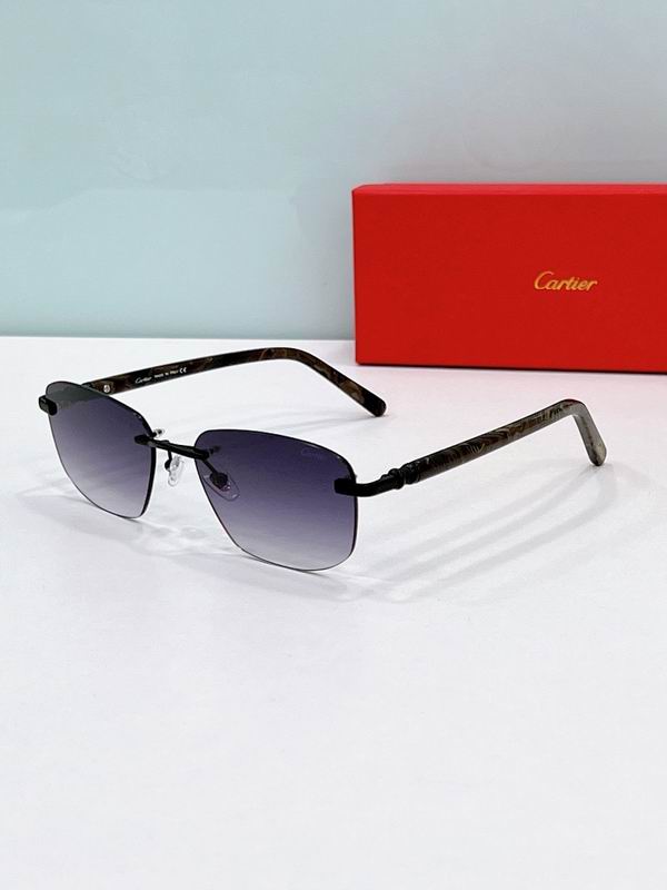 Cartier Glasses smr280