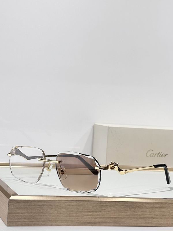 Cartier Glasses smr301