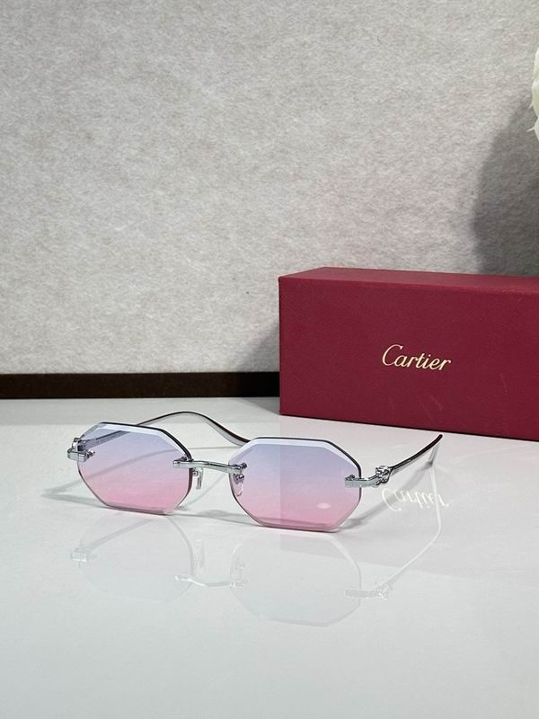 Cartier Glasses smr313