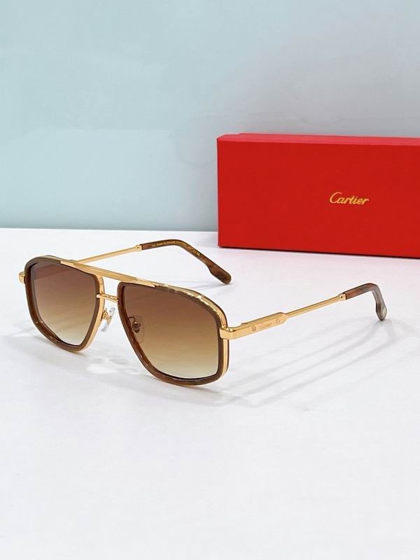 Cartier Glasses smr321