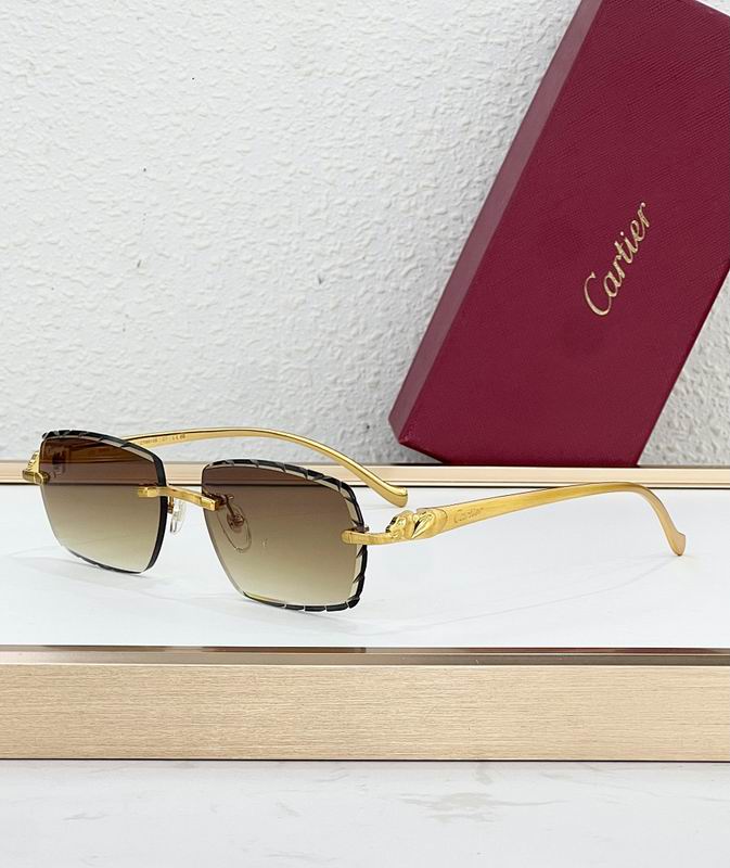 Cartier Glasses smr344