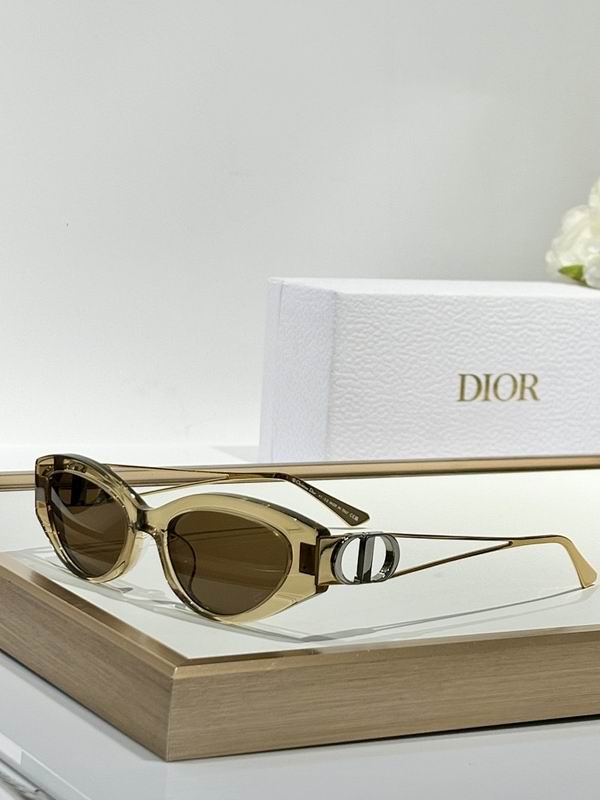 Dior Glasses smr29