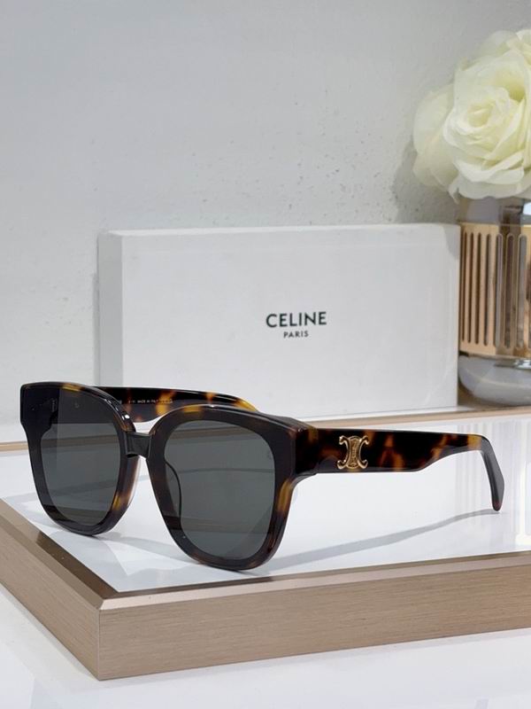 Celine Glasses sms 163