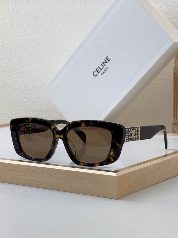 Celine Glasses sms 170
