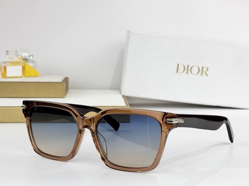 Dior Glasses smr62