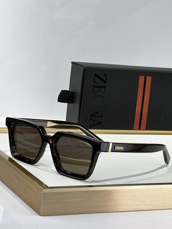 Zegna Glasses sms17
