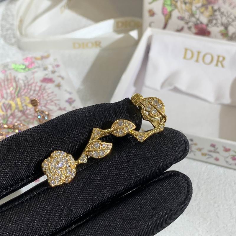 Dior Earring 03yxs242