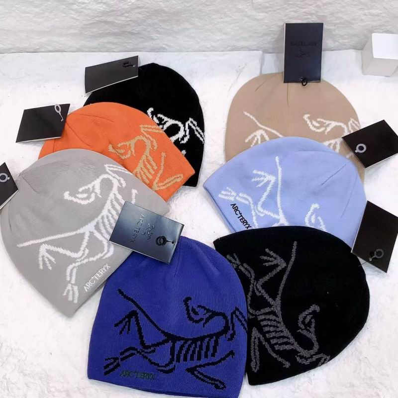 26 Arcteryx ��֯ñ 0419