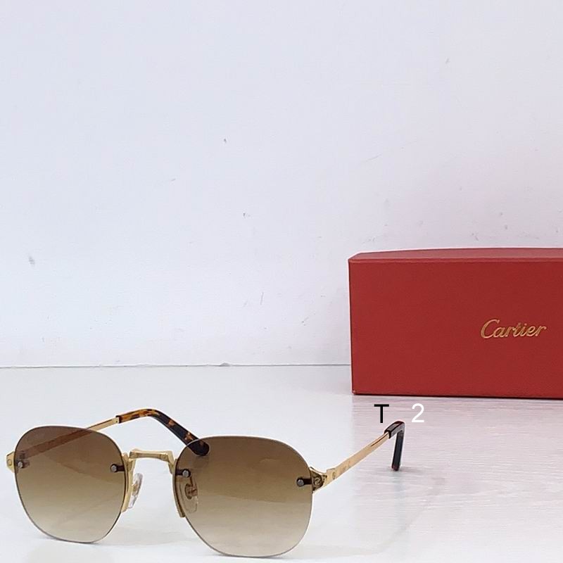 Cartier CT0459S 53 21-145 b