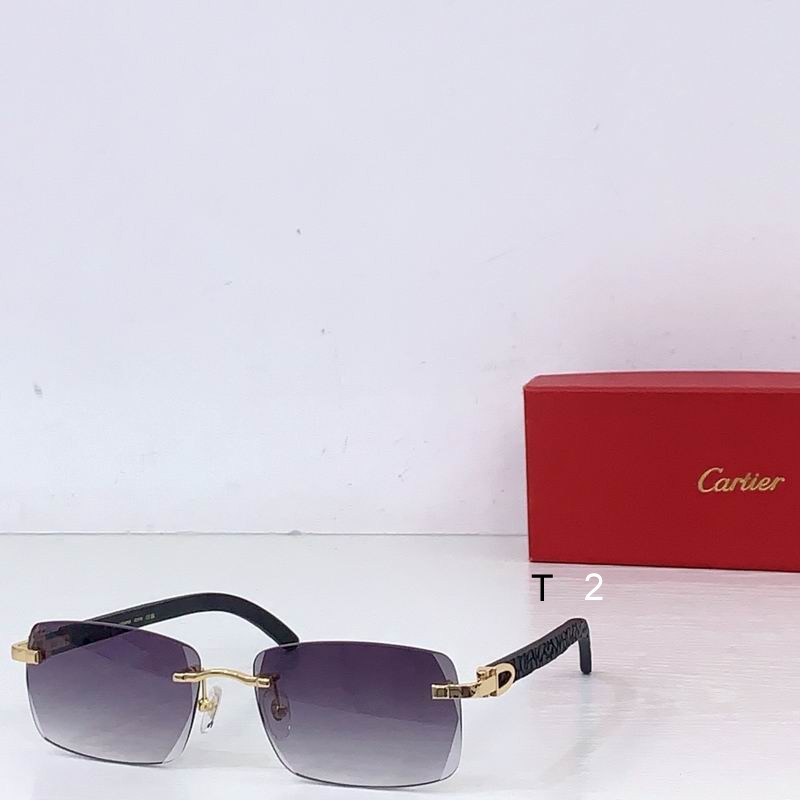 Cartier CT01675O ZE143 B