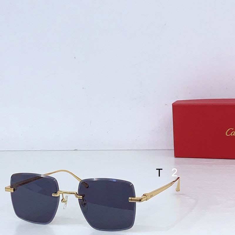 Cartier CT0403 52-20-145 b