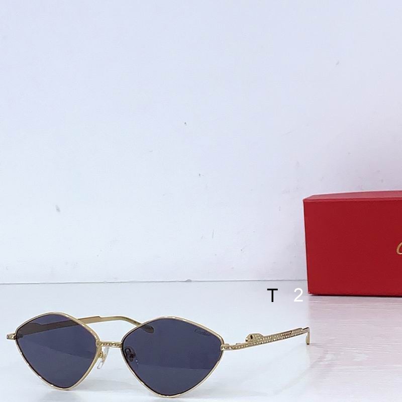 Cartier CT0489S 60 15-140 b