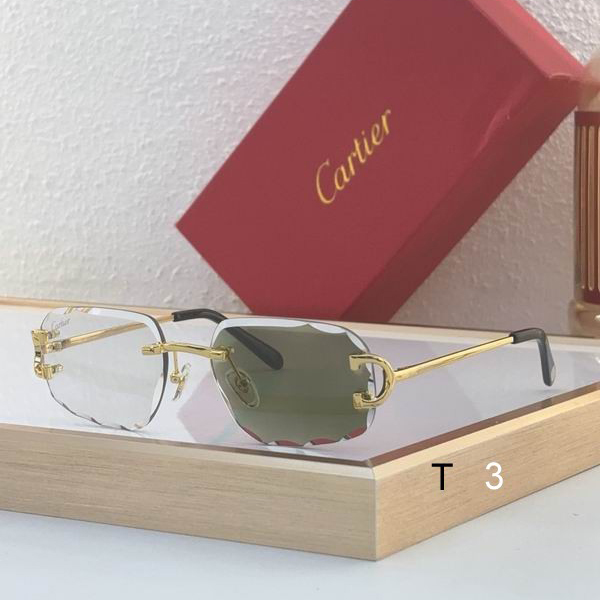 Cartier CT0475S 60 18-140 c (2)