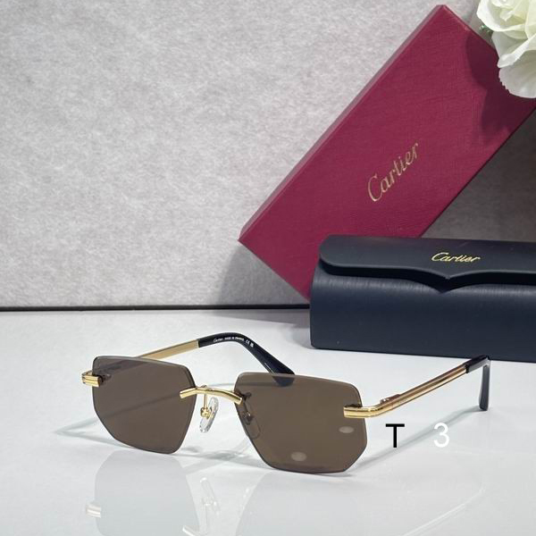 Cartier CT0653S 55 18-145 C