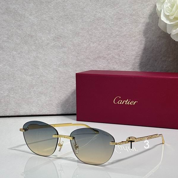 Cartier CT0486S 60 18-140 c