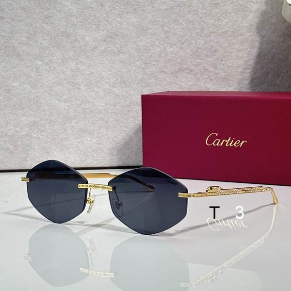 Cartier CT0487S 61 18-140 c