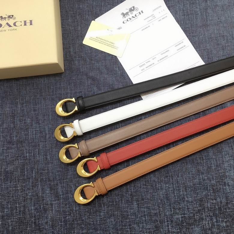 Coach 25mmX95-110CM 7d01